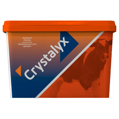 Crystalyx Mentholyx 5 kg.