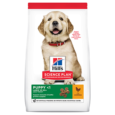 Hills Canine Puppy Large Breed Chicken 14,5kg